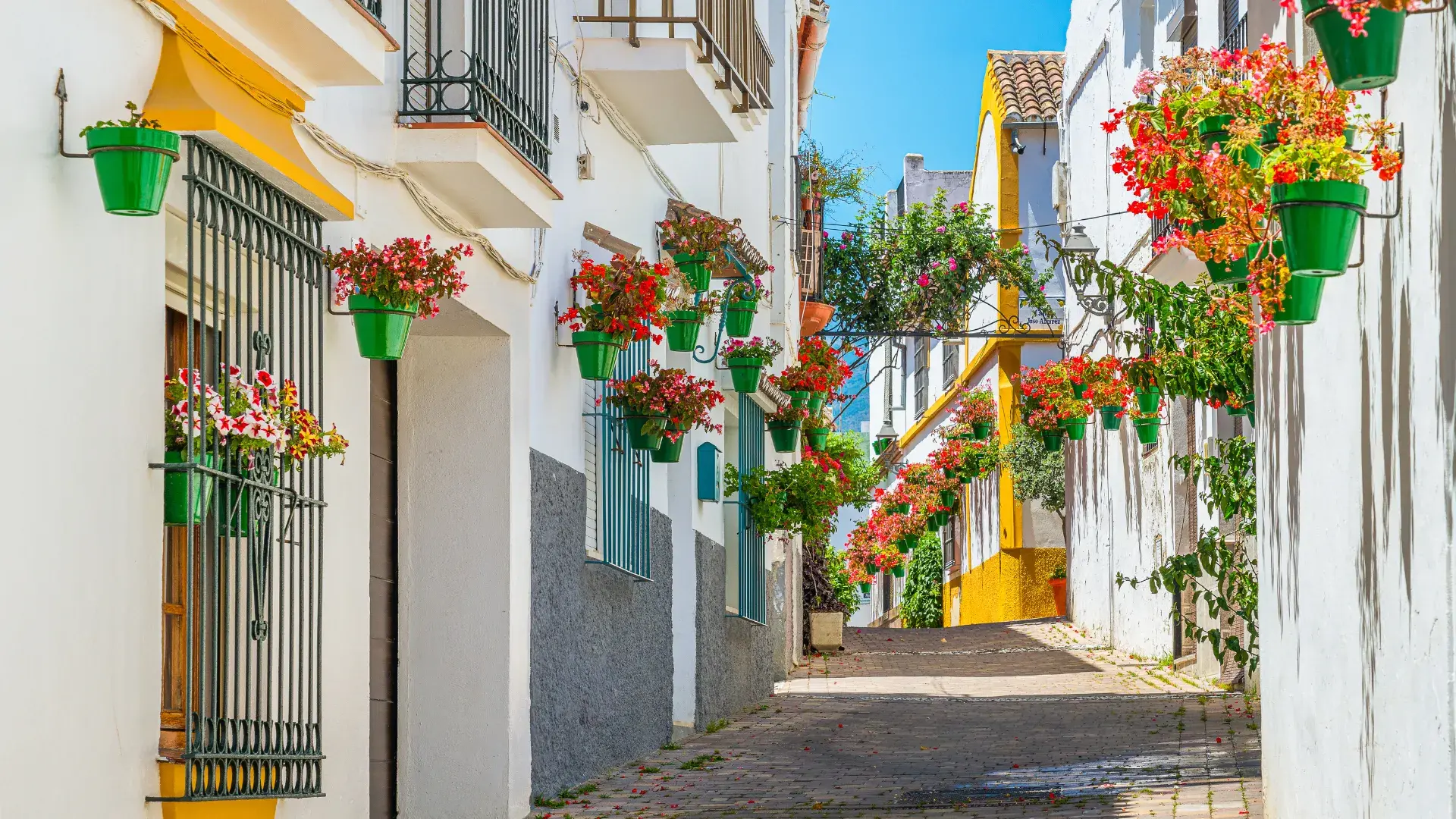 Débarras dans l'Hérault pour votre maison, vue maison ruelle fleurie